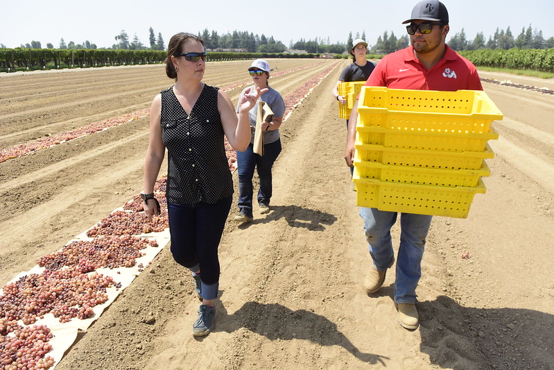 Raisin Grape class lab with faculty.