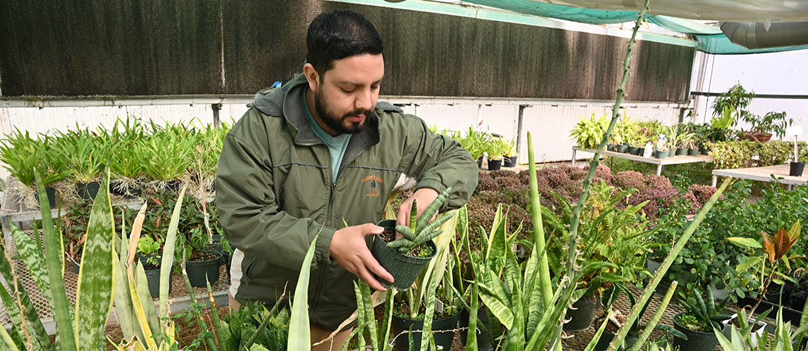 Ernesto Duran waterin plants in campus nursery